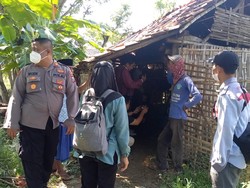 Wabah PMK Meluas 16 Desa di 6 Kecamatan Kabupaten Sampang