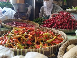 Pedasnya Harga Cabai Rawit di Bantul: Rp 90 Ribu per Kilogram