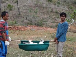 Kawanan Anjing Liar hingga Monyet Kerap Datangi Sirkuit Mandalika