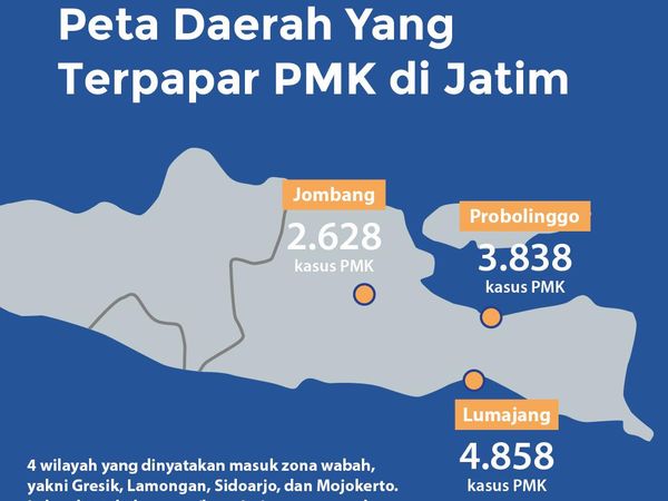 Sebaran Wabah PMK di Lumajang, Probolinggo dan Jombang
