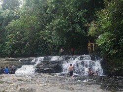 Di Air Terjun Cantik Ini Tersimpan Fosil Daun Ratusan Juta Tahun