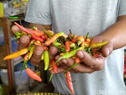 Harga Cabai Rawit di Solo Meroket, Tembus Rp 65 Ribu/Kg