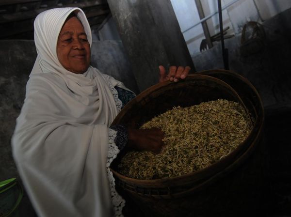 Nabung 11 Tahun, Pedagang Taoge Ini Siap Naik Haji