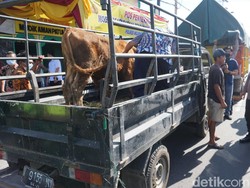 Truk-Pikap Angkut Sapi Terjaring Penyekatan PMK di Jalur Perbatasan Mojokerto