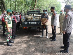 Pertahankan Zona Hijau PMK, Satgas Ngawi Perketat Lalu Lintas Ternak