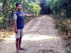 Sehelai Rambut Ungkap Eksistensi Harimau Jawa di Sukabumi