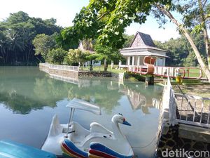 Pesona SItu Cisamping di Pangandaran, Cocok Buat Healing! Pesona SItu Cisamping di Pangandaran, Cocok Buat Healing!