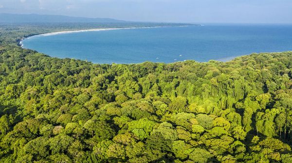 Warisan Dunia di Ujung Barat Jawa