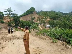 Satwa Turun ke Hotel, Akibat Pengerukan Bukit untuk Sirkuit Mandalika?