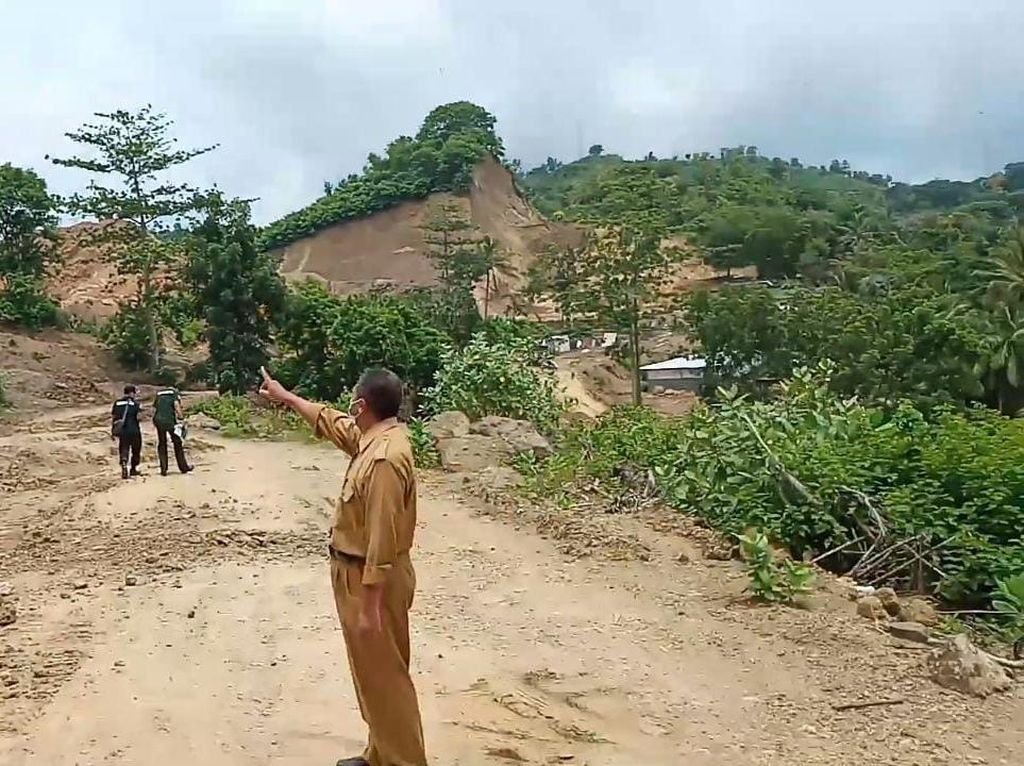 Satwa Turun ke Hotel, Akibat Pengerukan Bukit untuk Sirkuit Mandalika? Satwa Turun ke Hotel, Akibat Pengerukan Bukit untuk Sirkuit Mandalika?