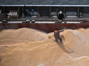 Perang Diplomasi Memanas Seputar Gandum Ukraina