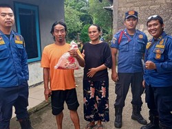 Damkar Bogor Tangkap Ular Kobra Pemangsa 2 Burung Peliharaan Warga