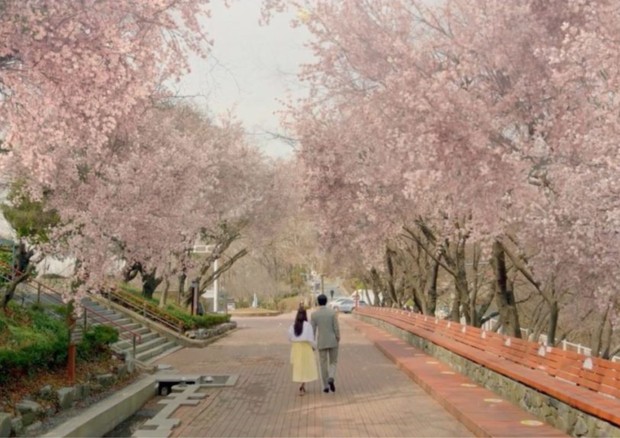 Jayu Park jadi lokasi syuting yang indah di Business Proposal