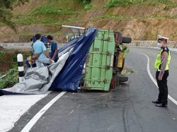 Truk Muatan Pakan Ikan dan Ayam Terguling di Pusuk Lombok Utara