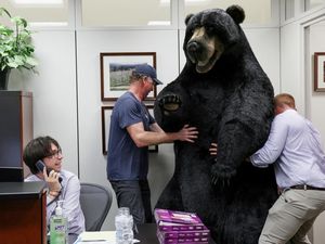 Nggak Biasa! Ada Beruang Mejeng di Gedung Capitol Hill AS