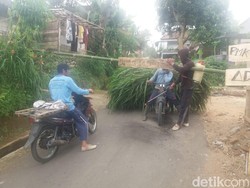 200 Sapi di Ponorogo Kena Wabah PMK, Desa Batasi Mobilitas Pedagang