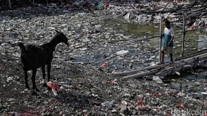 Pesisir Jakarta Dikepung Tumpukan Sampah