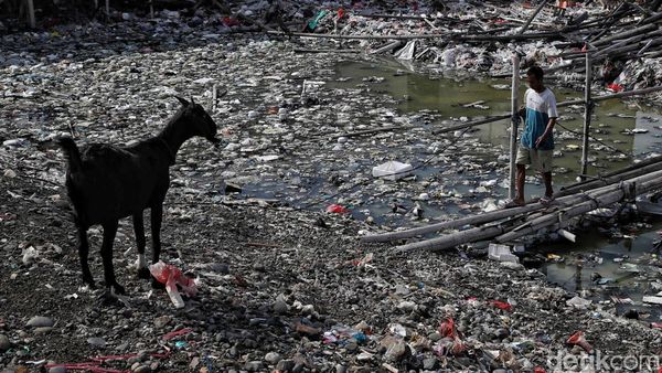 Pesisir Jakarta Dikepung Tumpukan Sampah