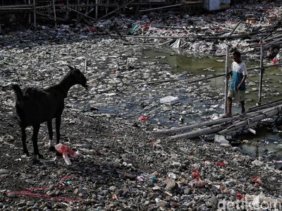 Pesisir Jakarta Dikepung Tumpukan Sampah