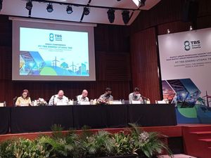 Fokus Kembangkan Bisnis, Perusahaan Batu Bara Luhut Tak Bagi Dividen