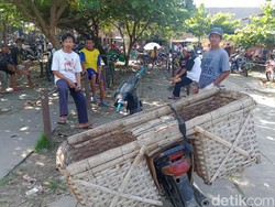 Penutupan Pasar Hewan di Klaten Diperpanjang, Pedagang Kambing Sambat