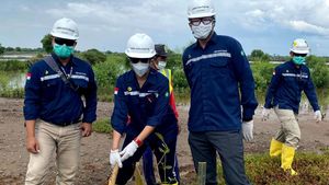 Aksi Tanam Pohon Bakau-Ketapang di Hari Lingkungan Hidup Sedunia