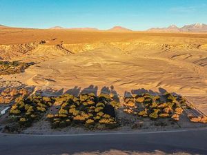 Hmmm... Kebun Anggur Ini Ada di Tempat Terkering Dunia Hmmm... Kebun Anggur Ini Ada di Tempat Terkering Dunia