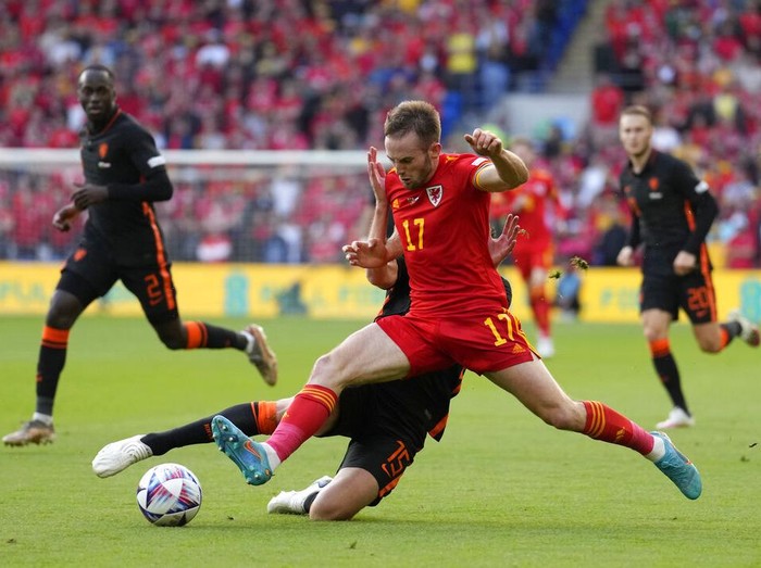 Kemenangan Dramatis Belanda Atas Wales Wales's Rhys Norrington-Davies, front, duels for the ball with Netherlands' Hans Hateboer during the UEFA Nations League soccer match between Wales and the Netherlands at Cardiff City Stadium, in Cardiff, Wales, Wednesday, June 8, 2022. (AP Photo/Matt Dunham )