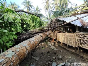 Kondisi Terkini Galur Kulon Progo Usai Diterjang Hujan dan Angin Kencang