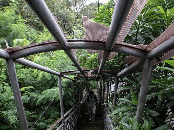 Kondisi JPO di Kota Tangerang Ini Bak Hutan Belantara, Kok Bisa?