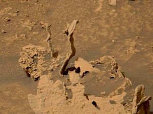 Ada Penampakan Mirip Cacing Pasir di Mars, Apa Itu? Ada Penampakan Mirip Cacing Pasir di Mars, Apa Itu?