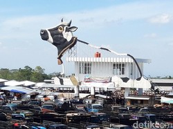 Dampak PMK, Penutupan Pasar Hewan di Boyolali Diperpanjang hingga 20 Juni