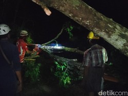 Hujan-Angin Kencang Landa Galur Kulon Progo, Puluhan Rumah Rusak