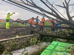 Pohon Tumbang Timpa Rel di Lamongan, Perjalanan KA Sempat Terhambat
