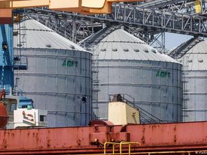 Rusia Setujui Koridor Ekspor Gandum Ukraina via Laut Hitam, Berhasilkah?