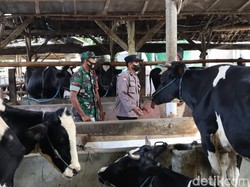 Kota Blitar Bikin Pos Pengawasan Agar Tetap Bebas dari Wabah PMK