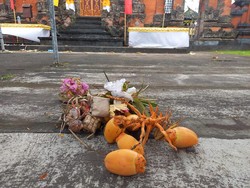 Tradisi Unik Galungan di Busungbiu Buleleng, Tidak Memasang Penjor