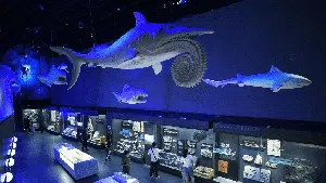 Serunya Bertualang Dunia Bawah Laut di Museum Maritim China