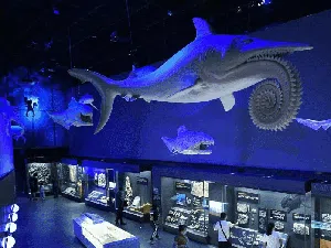 Serunya Bertualang Dunia Bawah Laut di Museum Maritim China