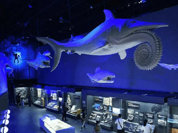 Serunya Bertualang Dunia Bawah Laut di Museum Maritim China
