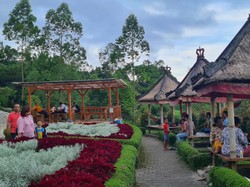 Umanis Galungan, Taman Edelweis Ramai Dikunjungi Wisatawan