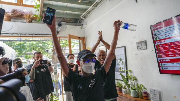 Thailand Legalkan Ganja, Warga Sambut Suka Cita