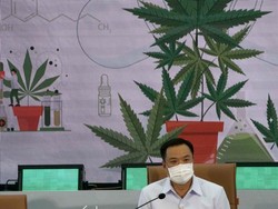 Thailand Resmi Mulai Legalkan Ganja