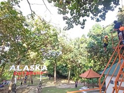 Ada Flying Fox, Alas Kedaton Ramai Pengunjung Saat Umanis Galungan