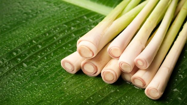 Sengketa Lahan Berujung Bentrok Massa Bayaran Di Kembangan, 2 Orang Terluka Akibat Sabetan Sajam