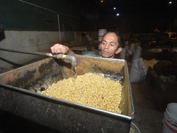 Harga Kacang Kedelai Sumut Naik, Stok Impor Menipis