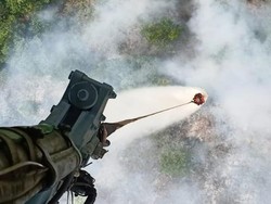 639 Ha Lahan di Riau Terbakar, 7 Orang Jadi Tersangka