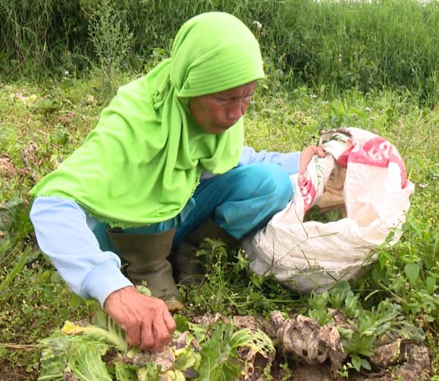 Mak Oom menjadi tulang punggung keluarga setelah ditinggal suaminya yang menghilang. Mari bantu Mak Oom lewat donasi di berbuatbai.id.