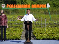 Jokowi Bakal Bangun Pusat Mangrove Dunia