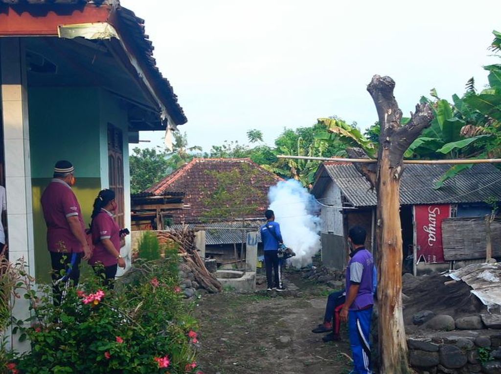 Chikungunya Sudah Menyerang 3 Wilayah di Karangasem